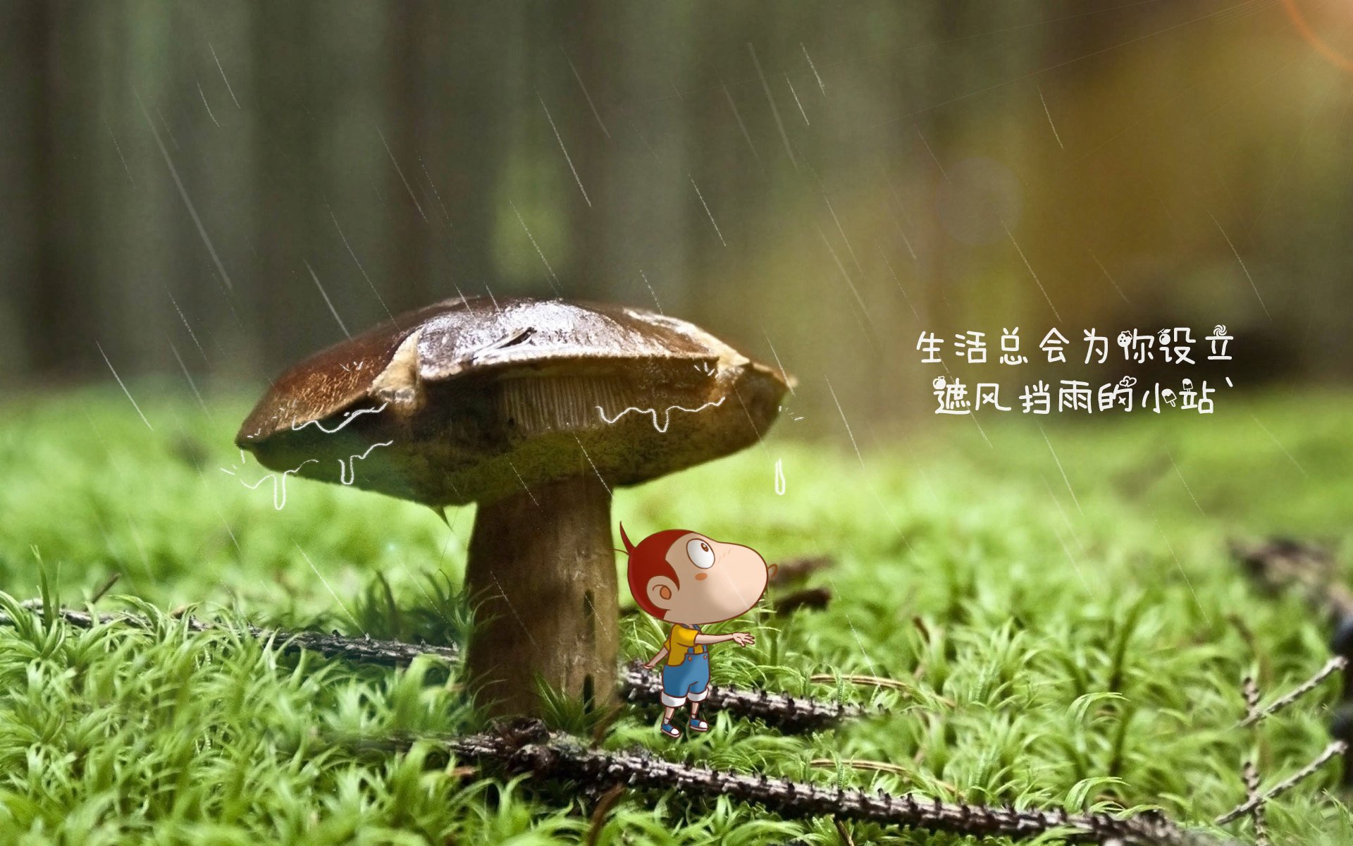 雷火电竞充值-沙漠绿洲的孤星，迪亚斯引领哥斯达黎加，在2026世界杯D组关键战中完胜阿联酋